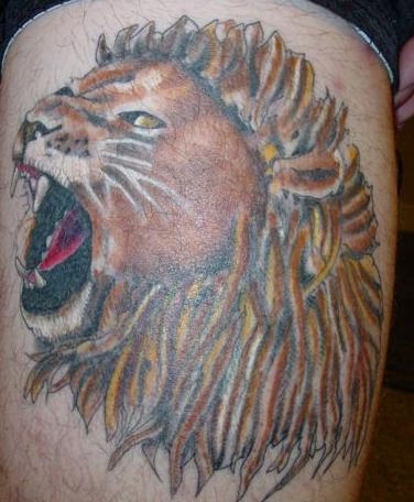 Tattoo Jim finalized my Lion Tattoo with touching 